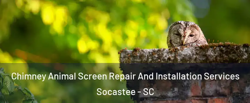  Chimney Animal Screen Repair And Installation Services Socastee - SC
