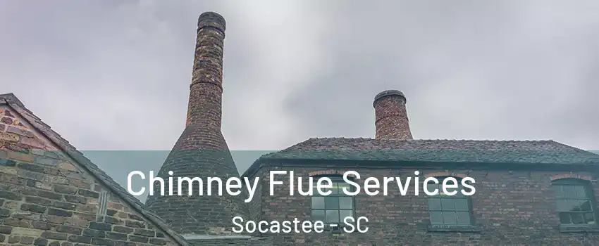  Chimney Flue Services Socastee - SC