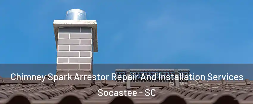  Chimney Spark Arrestor Repair And Installation Services Socastee - SC