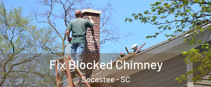 Fix Blocked Chimney Socastee - SC