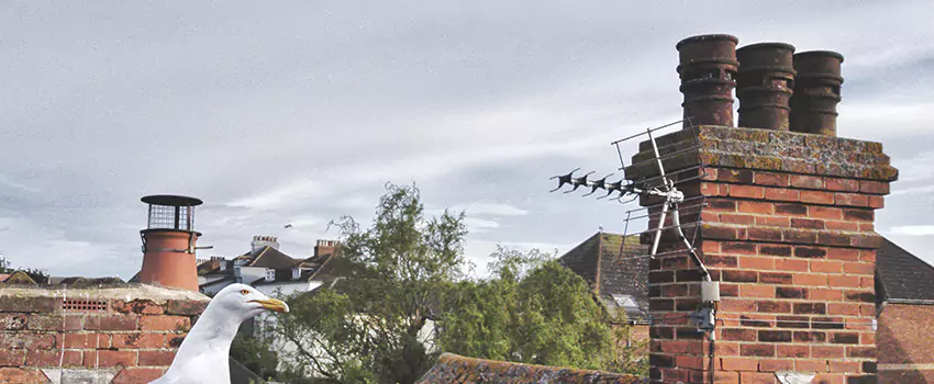 Chimney Cleaning And Restoration in Socastee, South Carolina