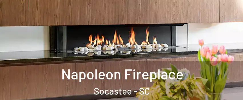  Napoleon Fireplace Socastee - SC