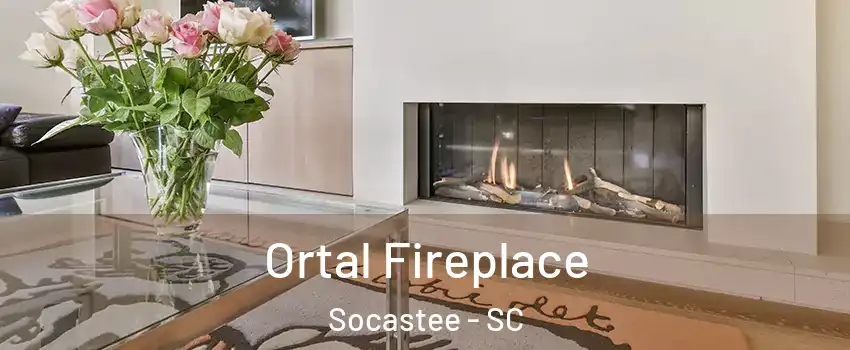  Ortal Fireplace Socastee - SC